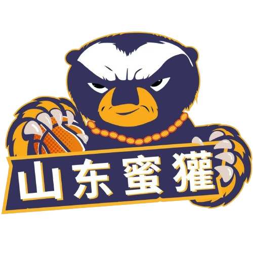 贝西克塔斯